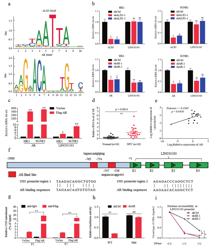 1633750748601238.png 1633750748601238.png