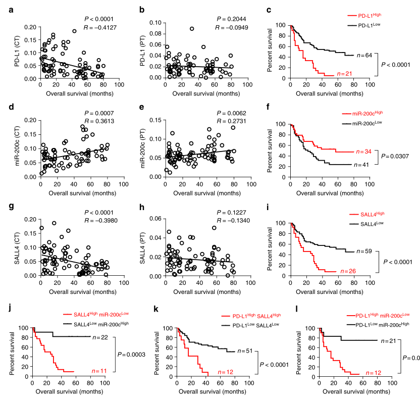 shRNA慢病毒載體構建-輝駿生物.png shRNA慢病毒載體構建-輝駿生物.png