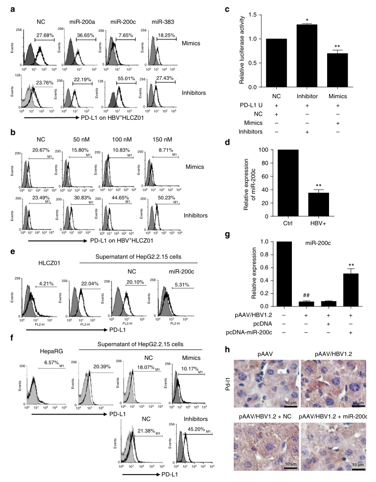 shRNA慢病毒載體構建-輝駿生物.png shRNA慢病毒載體構建-輝駿生物.png