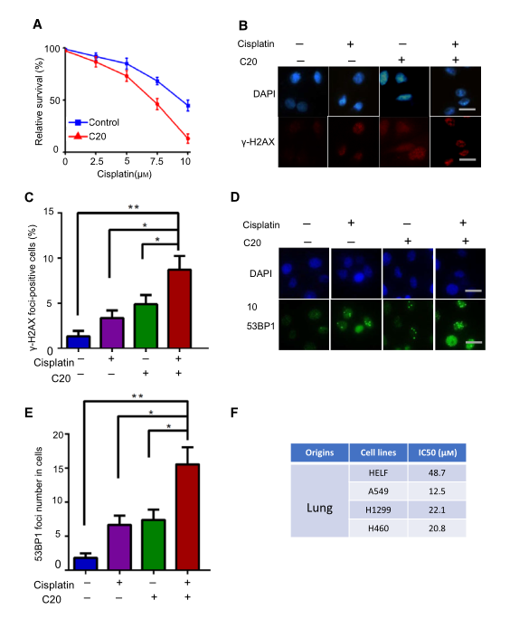 慢病毒包裝實(shí)驗(yàn)-客戶文獻(xiàn)-輝駿生物.png 慢病毒包裝實(shí)驗(yàn)-客戶文獻(xiàn)-輝駿生物.png