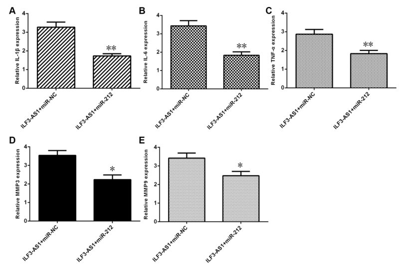 載體構(gòu)建服務(wù)-客戶文獻(xiàn)-輝駿生物.png 載體構(gòu)建服務(wù)-客戶文獻(xiàn)-輝駿生物.png