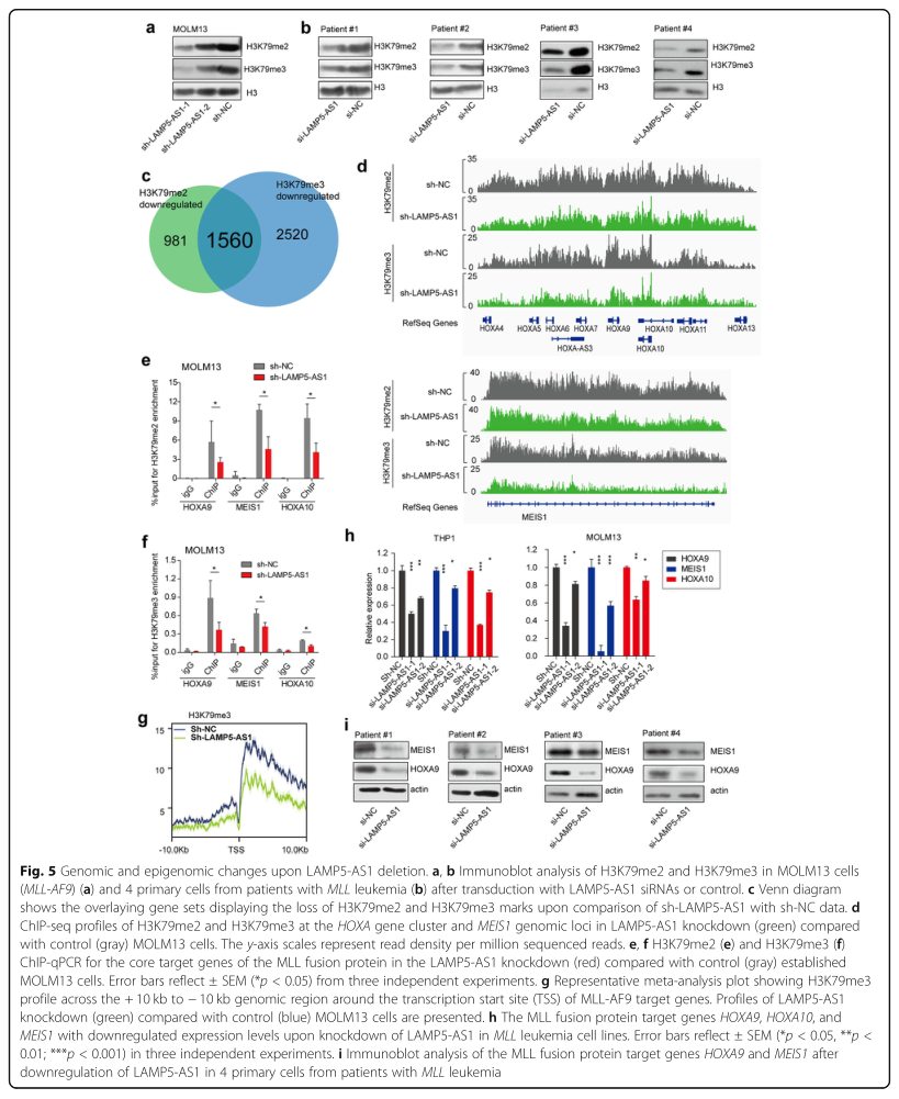 RNA pull down MS結(jié)合蛋白鑒定-客戶文獻(xiàn)-輝駿生物.png RNA pull down MS結(jié)合蛋白鑒定-客戶文獻(xiàn)-輝駿生物.png