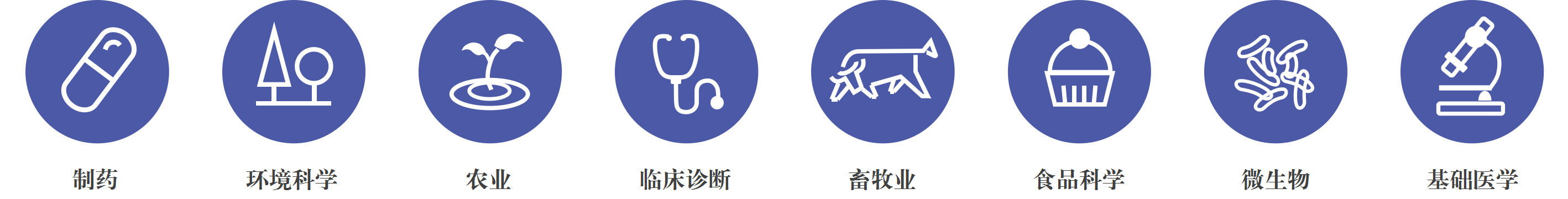 輝駿服務(wù),蛋白質(zhì)質(zhì)譜鑒定,質(zhì)譜鑒定,免疫共沉淀試劑盒,pull down,RNA pull down.bmp 輝駿服務(wù),蛋白質(zhì)質(zhì)譜鑒定,質(zhì)譜鑒定,免疫共沉淀試劑盒,pull down,RNA pull down.bmp