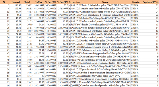 GST pull down試劑盒廠(chǎng)家-大量現(xiàn)貨-輝駿生物 GST pull down試劑盒廠(chǎng)家-大量現(xiàn)貨-輝駿生物