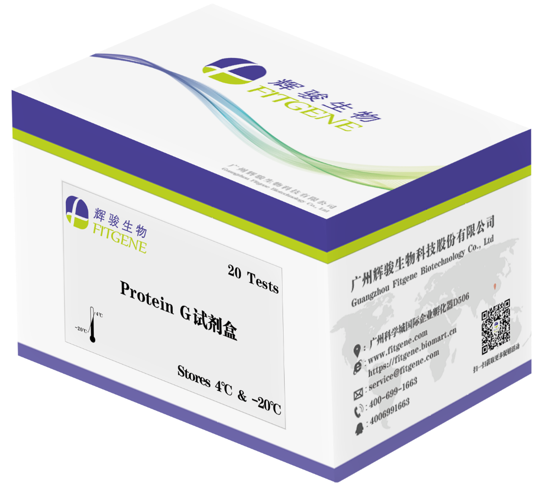 Protein G檢測試劑盒-高親和力-操作簡單-周期短-輝駿生物.png Protein G檢測試劑盒-高親和力-操作簡單-周期短-輝駿生物.png