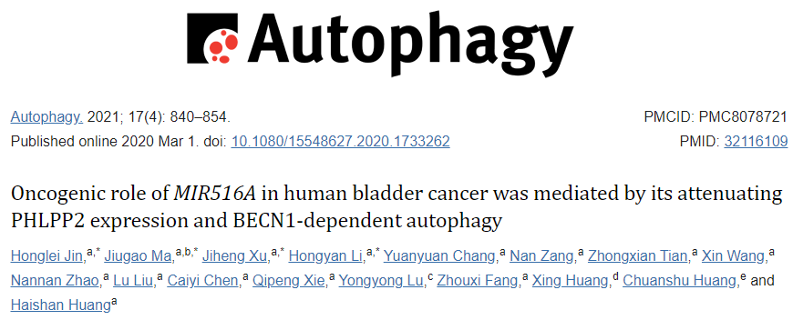 LC-MS/MS蛋白鑒定實驗客戶高分文獻-輝駿生物 LC-MS/MS蛋白鑒定實驗客戶高分文獻-輝駿生物