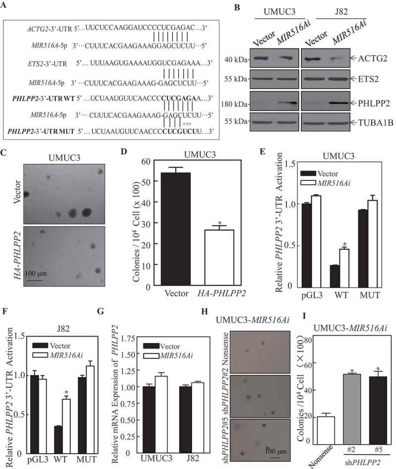1661847712890757.jpg 1661847712890757.jpg