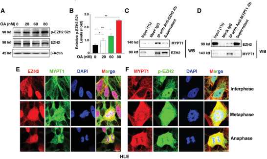1662360028366630.jpg 1662360028366630.jpg
