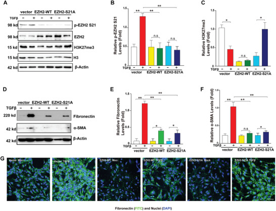 1662360080416676.jpg 1662360080416676.jpg