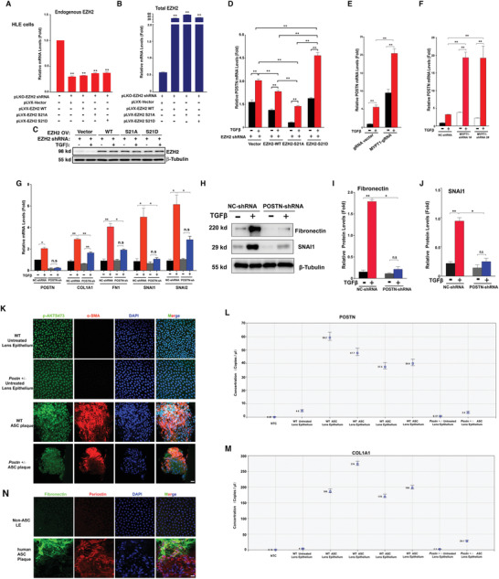 1662360139618323.jpg 1662360139618323.jpg