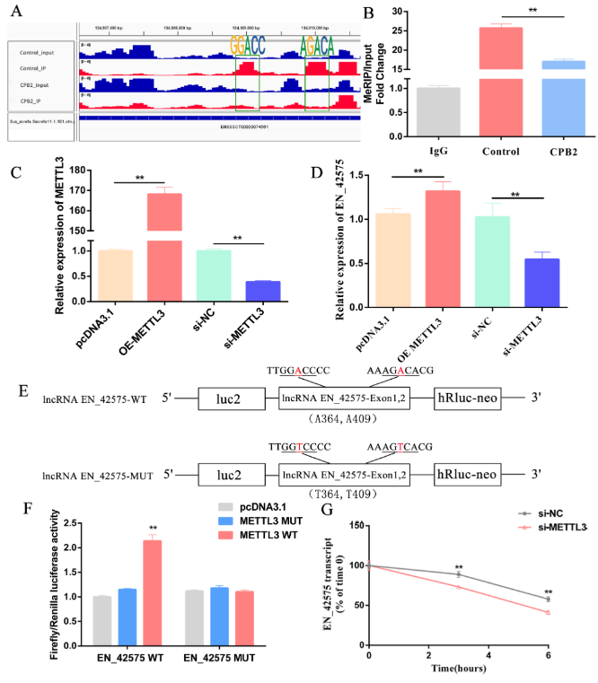 1683614383537854.png 圖片4.png