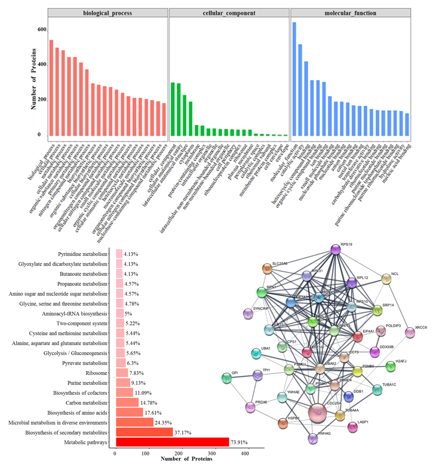 1683883522113715.jpg pull down生信分析結(jié)果.jpg