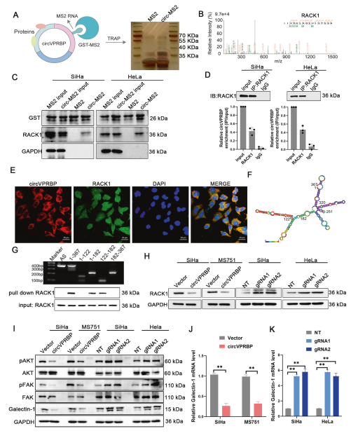 1684828754213136.png 圖片5.png