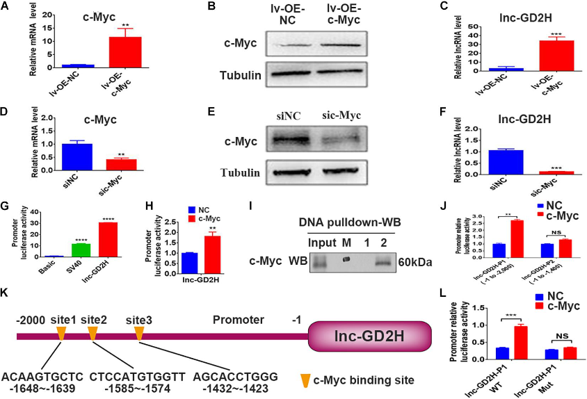 1686127053133562.png 圖片4.png