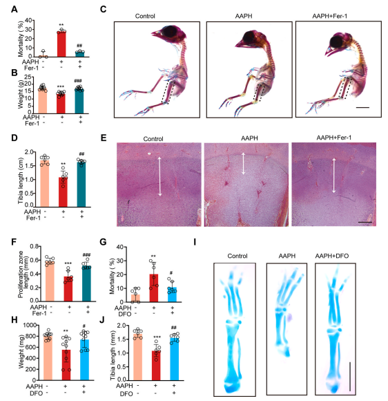 1686292034752281.png 圖片4.png