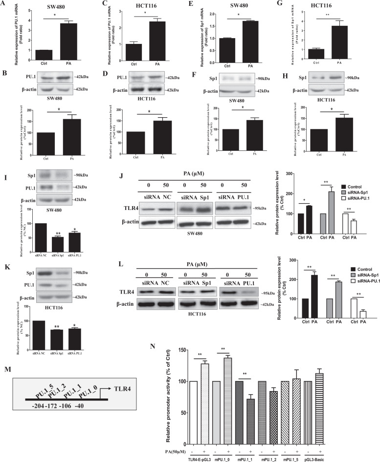1686305386286032.jpg 3.jpg