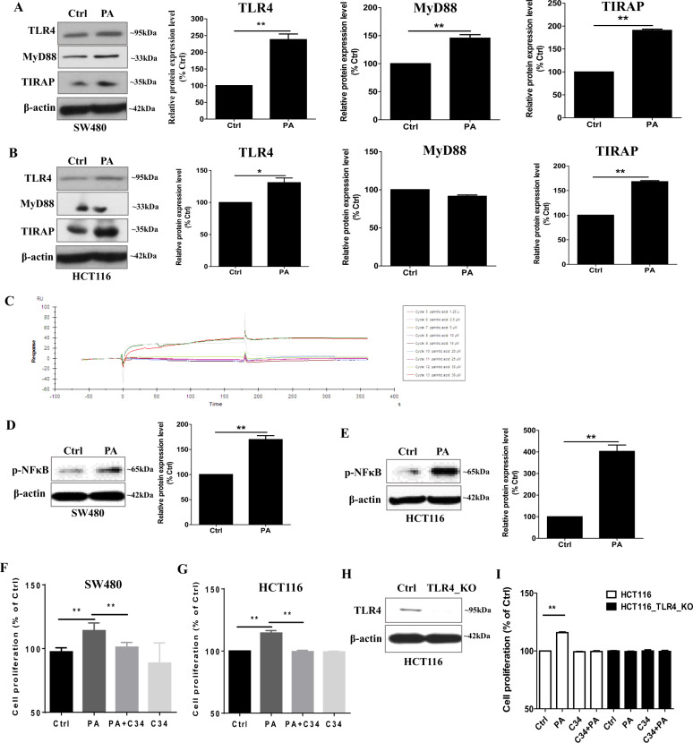 1686305413529678.jpg 4.jpg