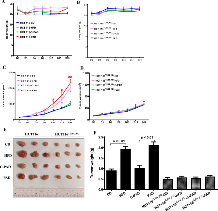 1686305431451618.jpg 5.jpg