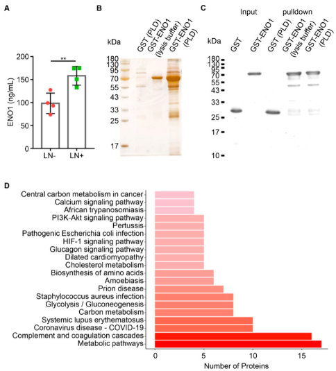 1686887470592762.png 圖片2.png