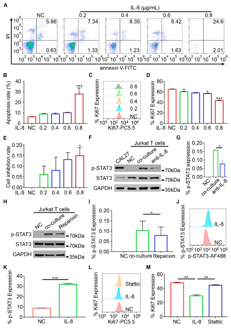 1686887611215201.jpg ijms-23-12777-g005.jpg