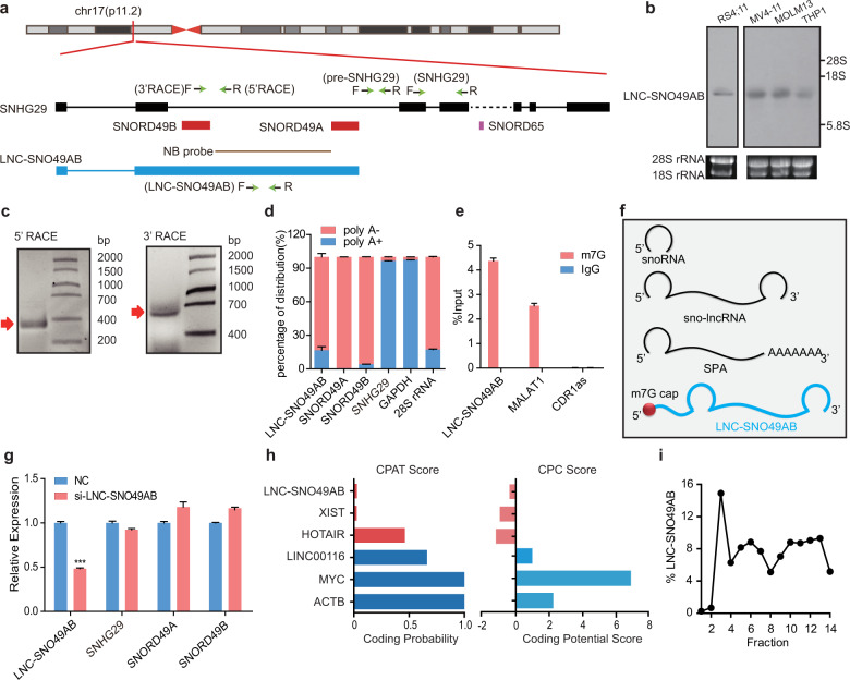 LC-MS/MS蛋白質(zhì)譜鑒定-客戶高分文獻(xiàn)-輝駿生物.png LC-MS/MS蛋白質(zhì)譜鑒定-客戶高分文獻(xiàn)-輝駿生物.png