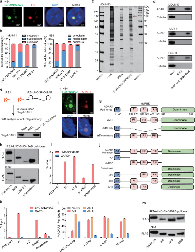 蛋白質(zhì)譜檢測(cè)-蛋白酶解-多肽純化-輝駿生物