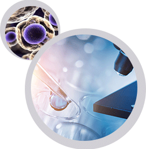 itraq,label free,lc-ms/ms質(zhì)譜鑒定,DIA實驗,廣泛靶向代謝組學 itraq,label free,lc-ms/ms質(zhì)譜鑒定,DIA實驗,廣泛靶向代謝組學