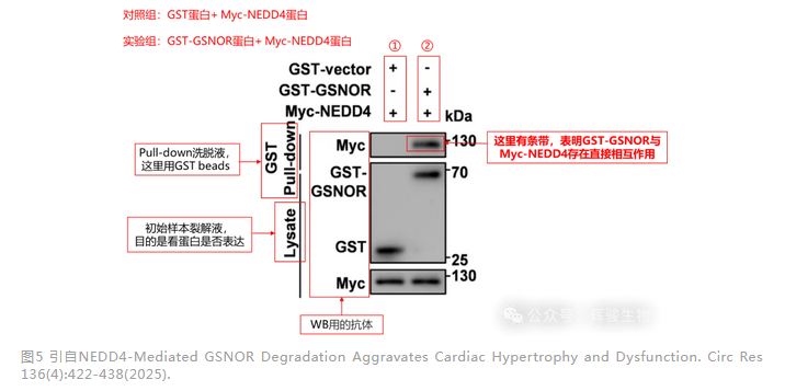 1770864361139995.png 1770864361139995.png